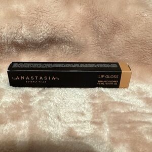 Anastasia Beverly Hills Lip Gloss —FAST SHIPPING